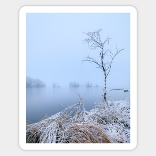 Calm lake landscape at winter Sticker